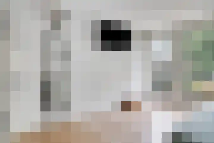 Schuineslootweg 50 Schuinesloot thumbnail 22