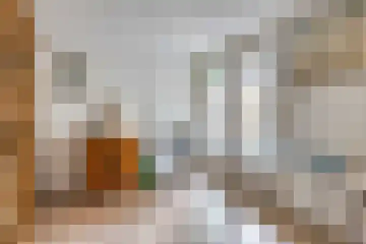 Schuineslootweg 50 Schuinesloot thumbnail 23