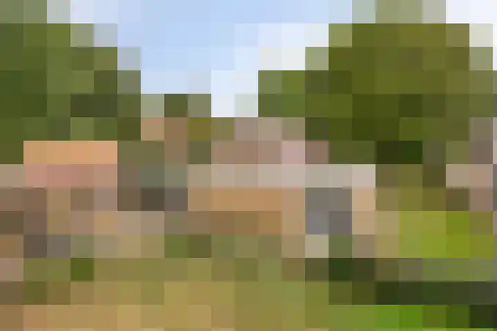 Schuineslootweg 50 Schuinesloot thumbnail 26