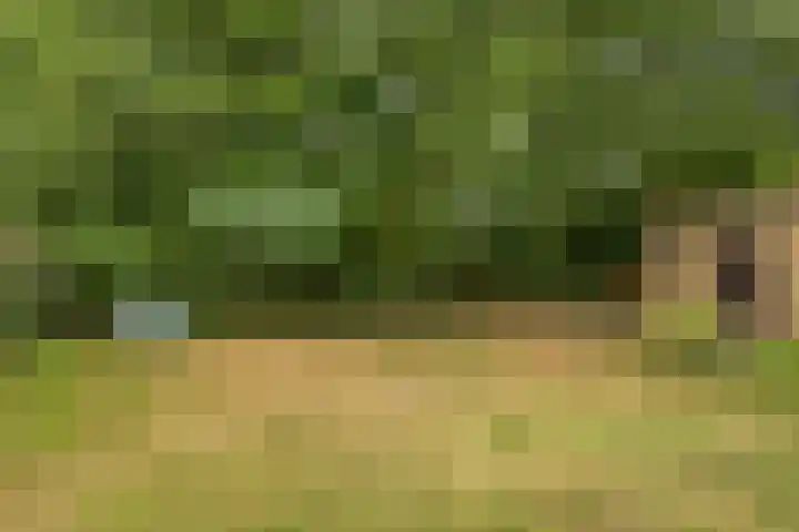 Schuineslootweg 50 Schuinesloot thumbnail 28