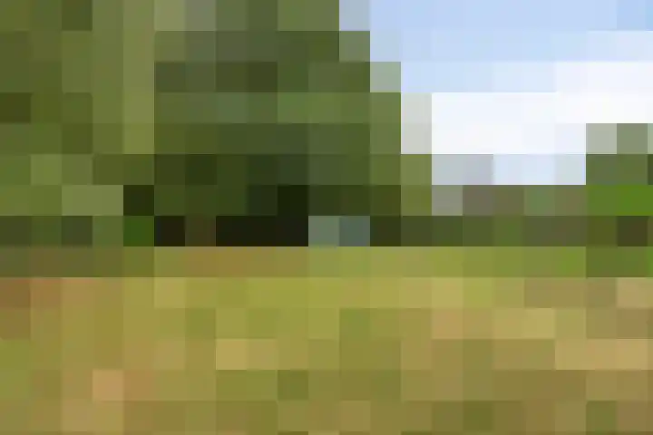 Schuineslootweg 50 Schuinesloot thumbnail 29