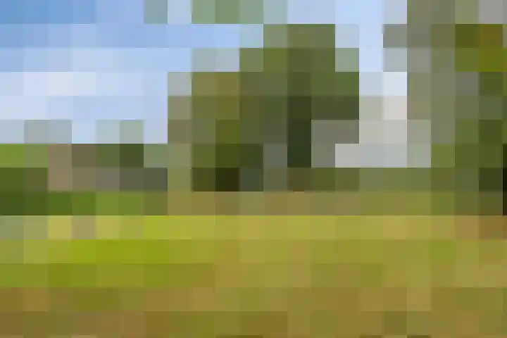 Schuineslootweg 50 Schuinesloot thumbnail 30