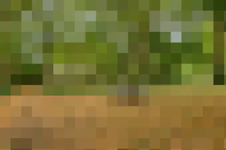 Schuineslootweg 50 Schuinesloot thumbnail 32