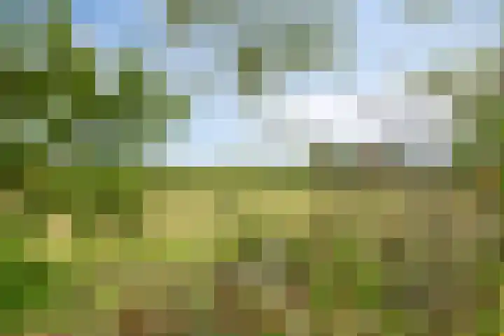 Schuineslootweg 50 Schuinesloot thumbnail 33
