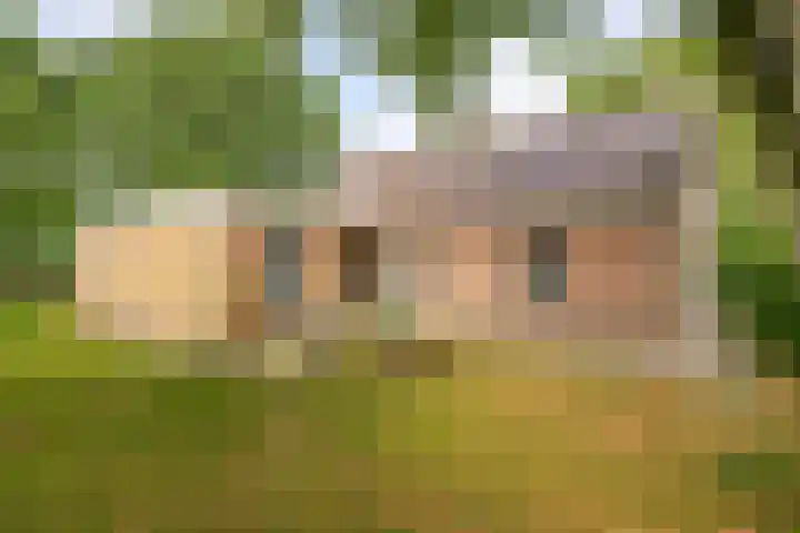 Schuineslootweg 50 Schuinesloot thumbnail 34