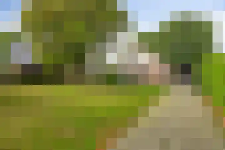 Schuineslootweg 50 Schuinesloot thumbnail 35