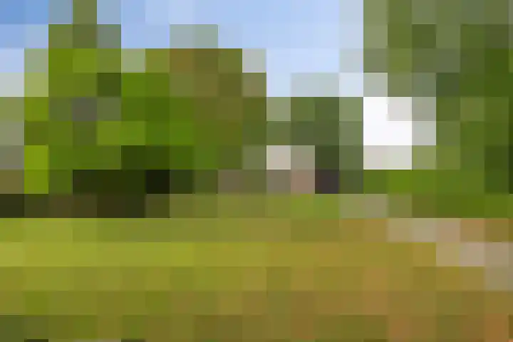 Schuineslootweg 50 Schuinesloot thumbnail 36