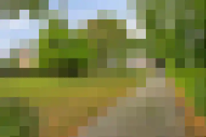 Schuineslootweg 50 Schuinesloot thumbnail 37