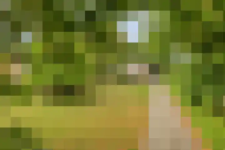 Schuineslootweg 50 Schuinesloot thumbnail 38