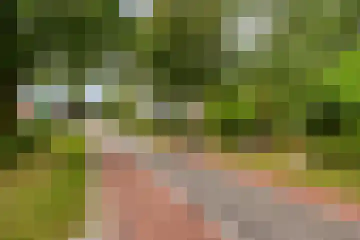 Schuineslootweg 50 Schuinesloot thumbnail 39