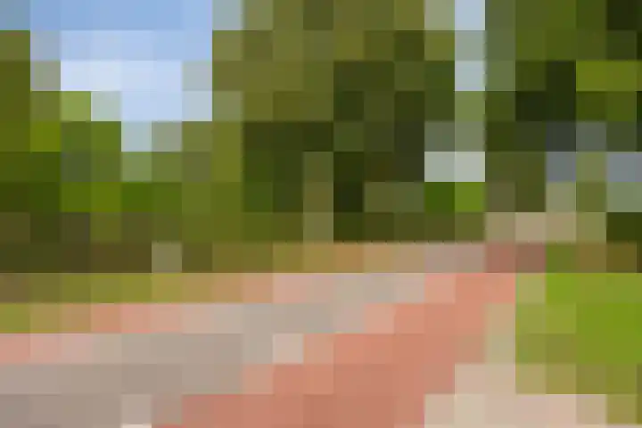 Schuineslootweg 50 Schuinesloot thumbnail 40