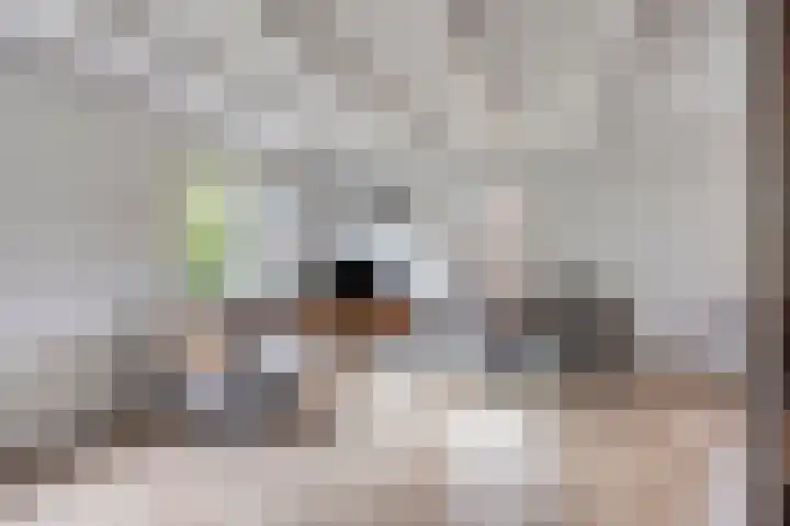 Schuineslootweg 50 Schuinesloot thumbnail 5