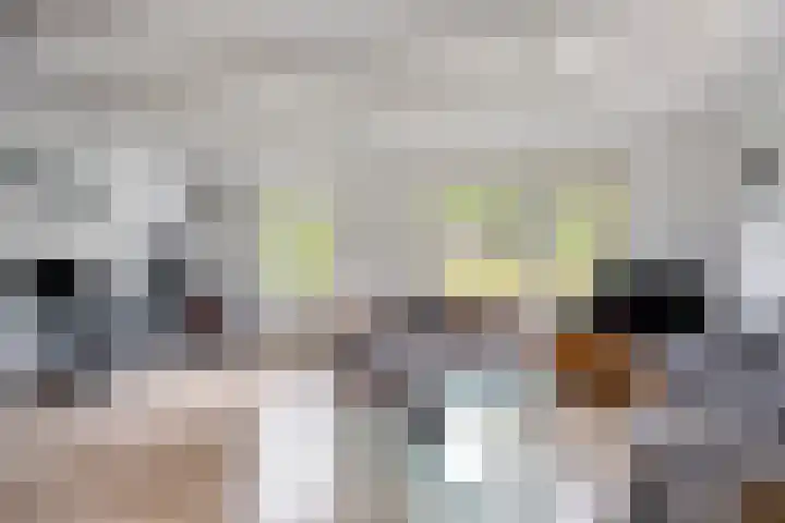 Schuineslootweg 50 Schuinesloot thumbnail 6