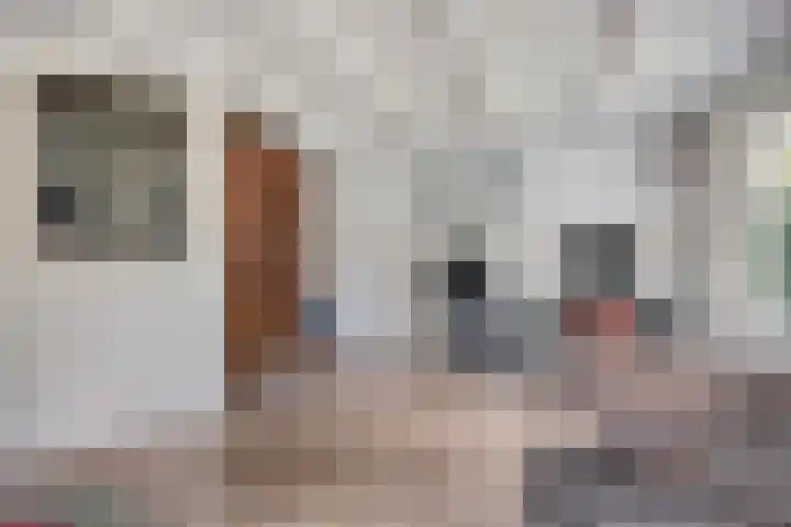 Schuineslootweg 50 Schuinesloot thumbnail 7