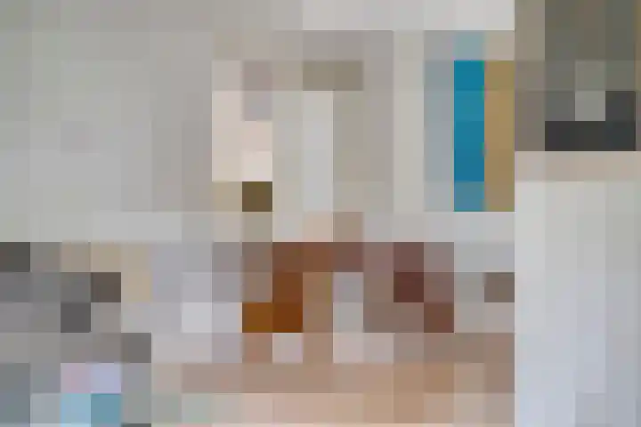 Schuineslootweg 50 Schuinesloot thumbnail 8