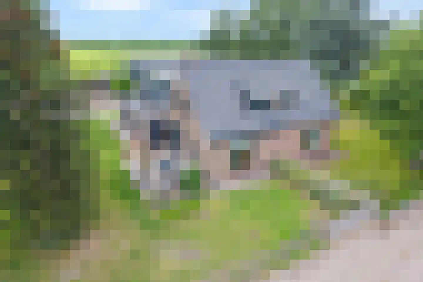 Schuineslootweg 70 Schuinesloot thumbnail 10