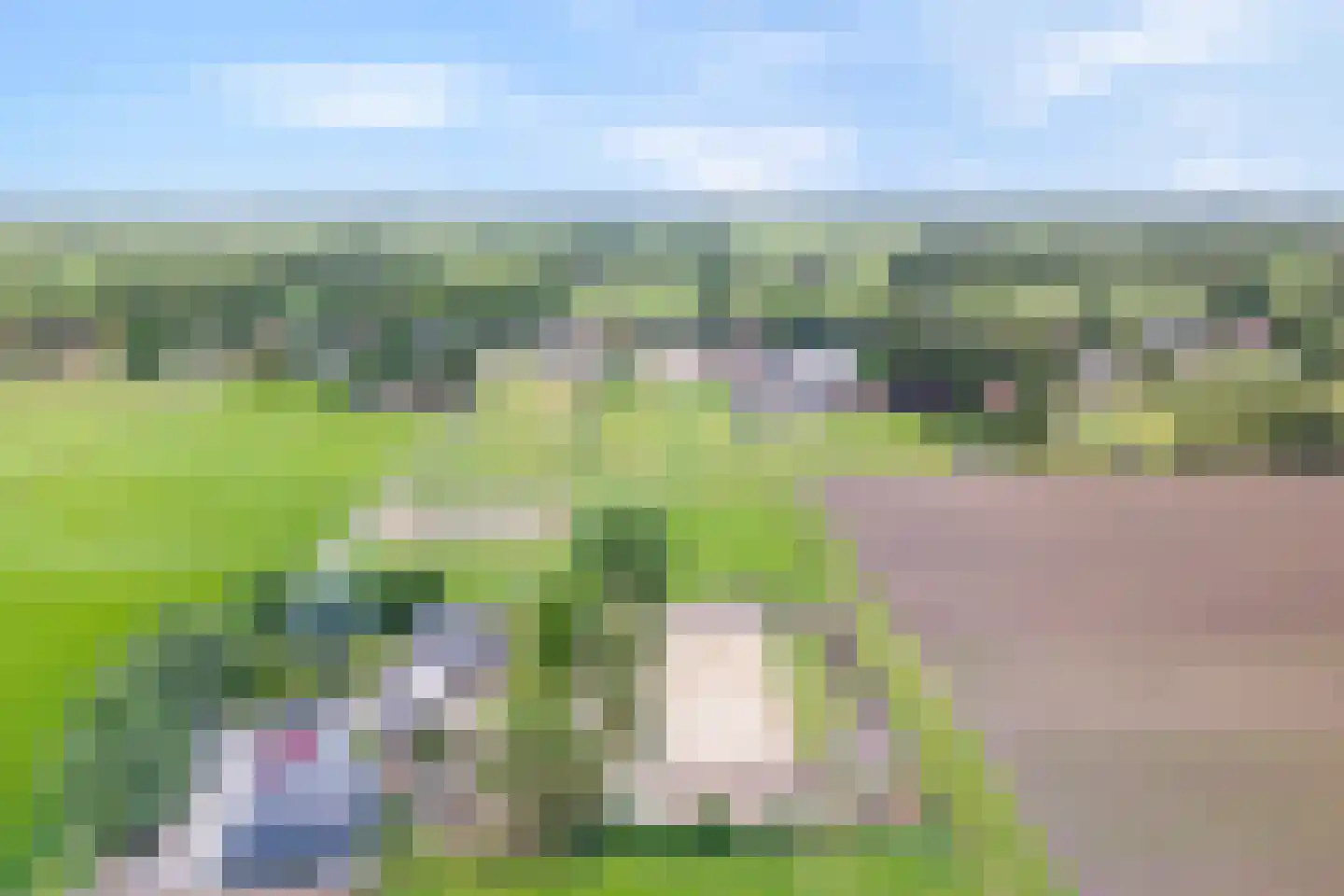 Schuineslootweg 70 Schuinesloot thumbnail 11