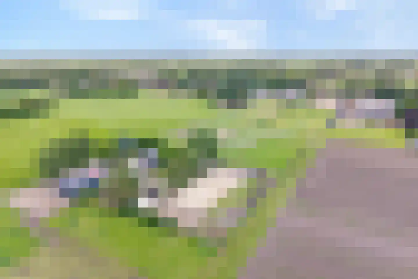 Schuineslootweg 70 Schuinesloot thumbnail 12