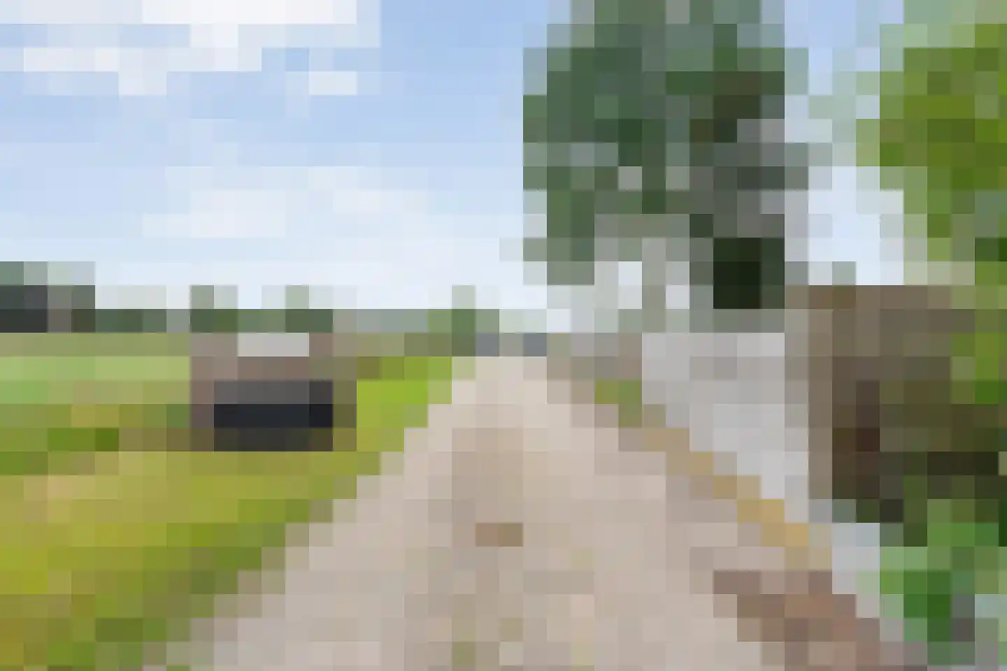 Schuineslootweg 70 Schuinesloot thumbnail 15