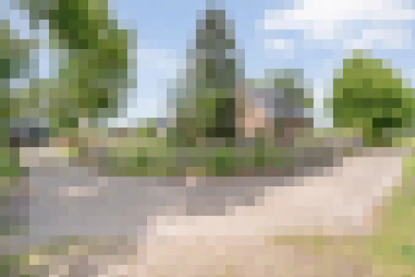 Schuineslootweg 70 Schuinesloot thumbnail 17