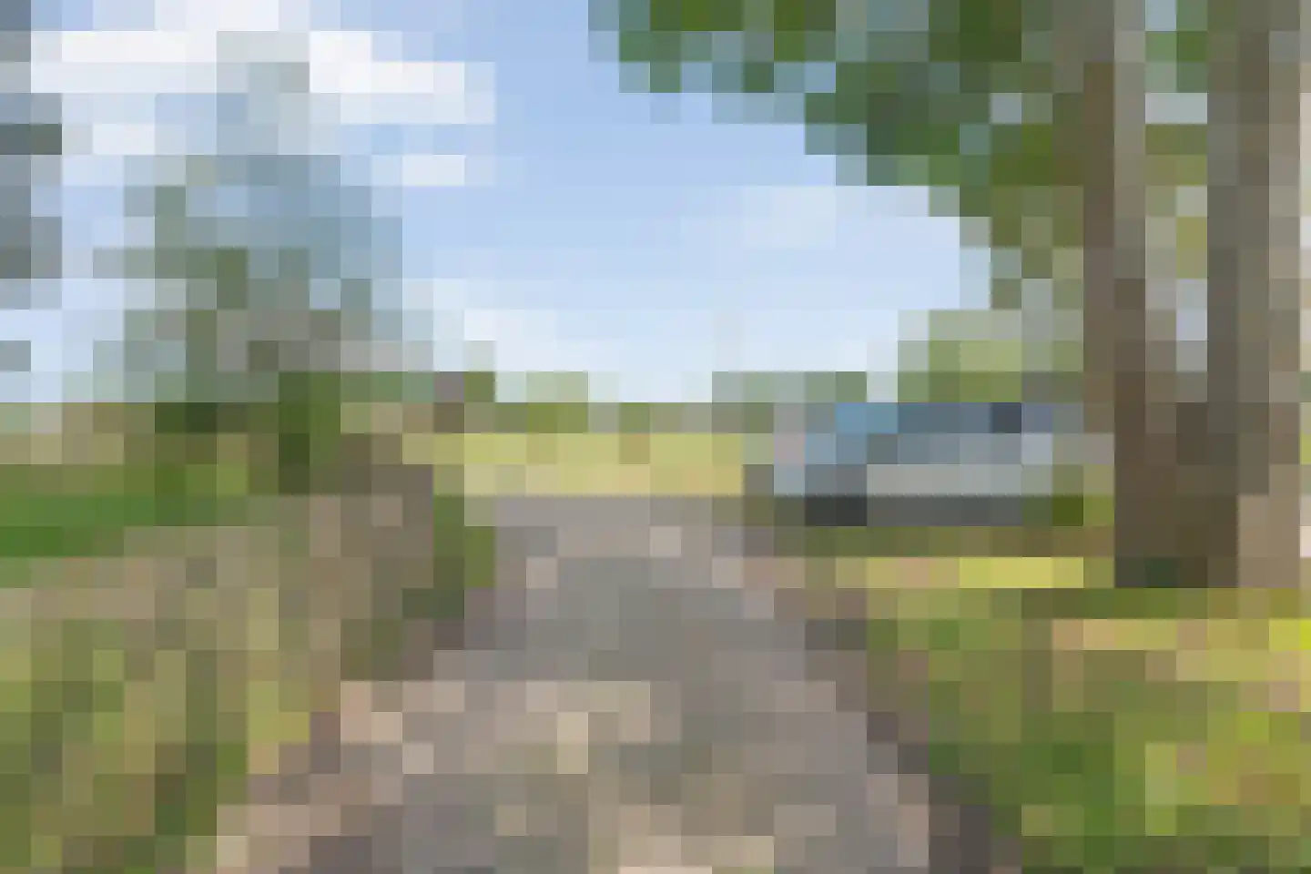 Schuineslootweg 70 Schuinesloot thumbnail 18