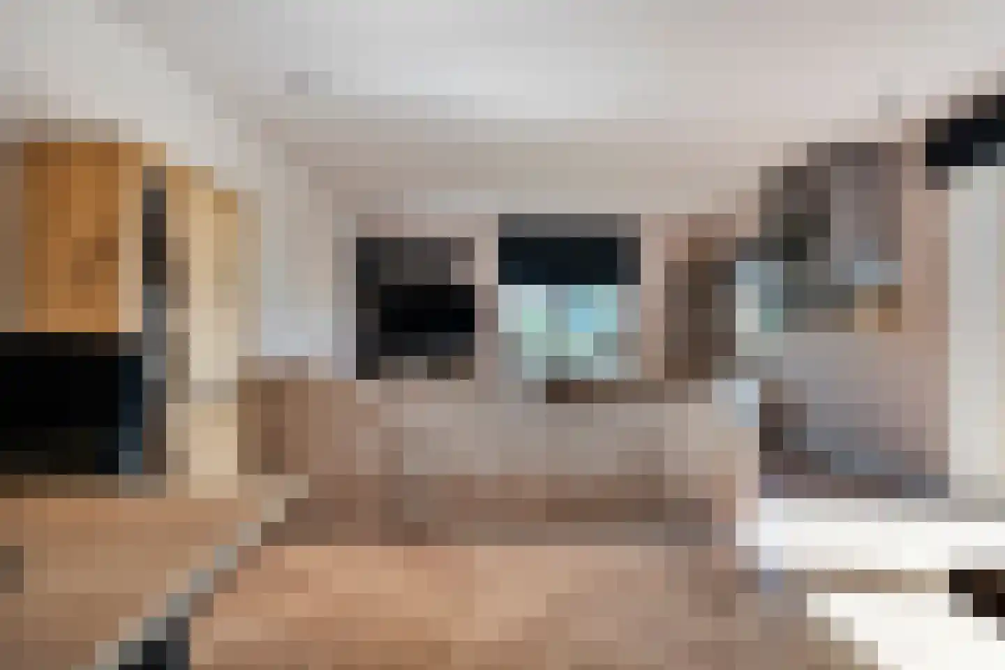 Schuineslootweg 70 Schuinesloot thumbnail 23