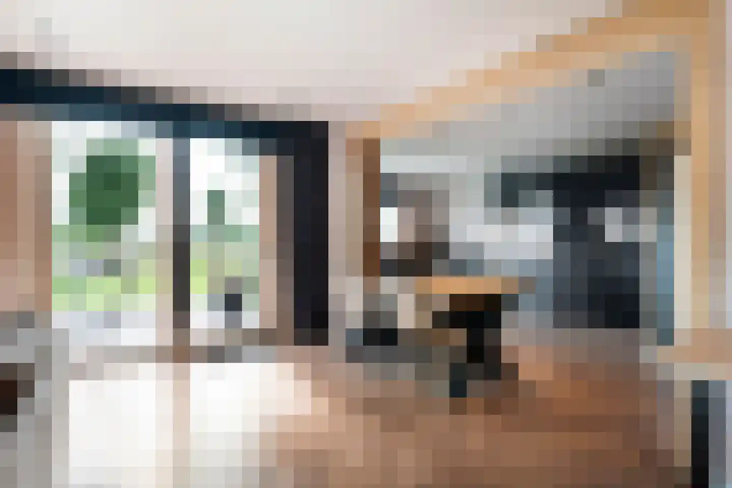 Schuineslootweg 70 Schuinesloot thumbnail 24