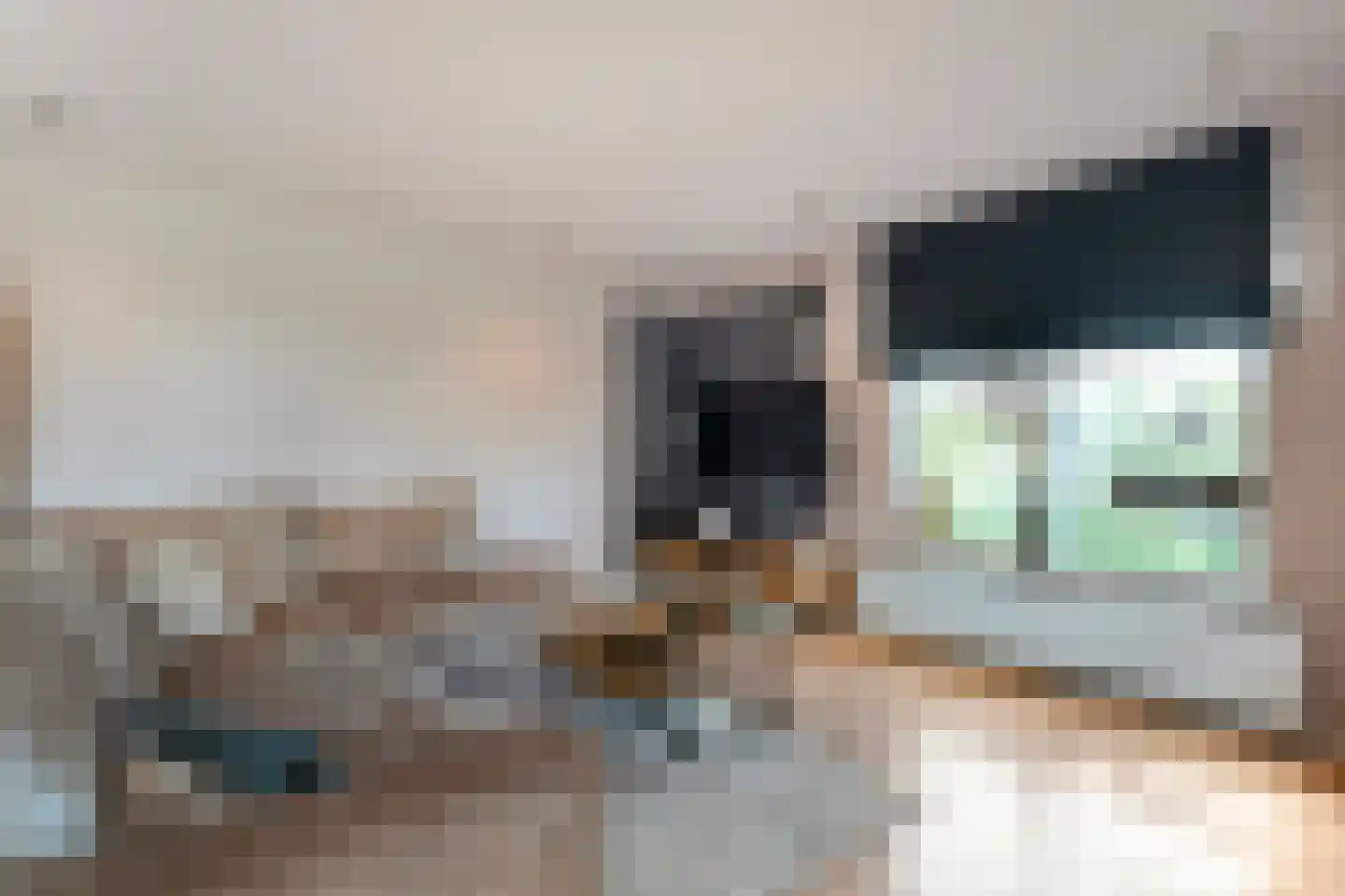 Schuineslootweg 70 Schuinesloot thumbnail 25