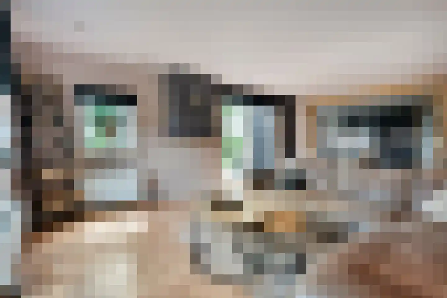 Schuineslootweg 70 Schuinesloot thumbnail 26