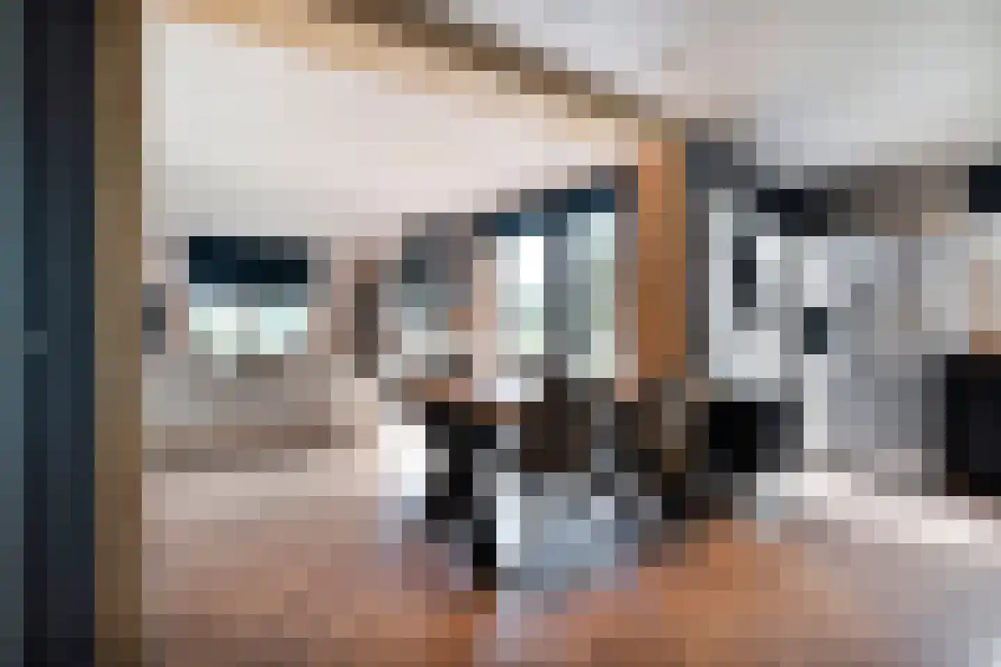 Schuineslootweg 70 Schuinesloot thumbnail 27