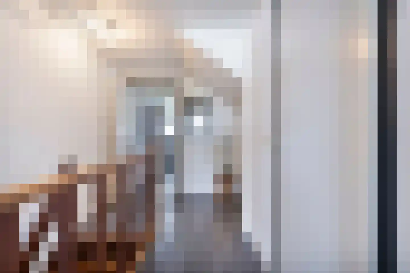 Schuineslootweg 70 Schuinesloot thumbnail 34