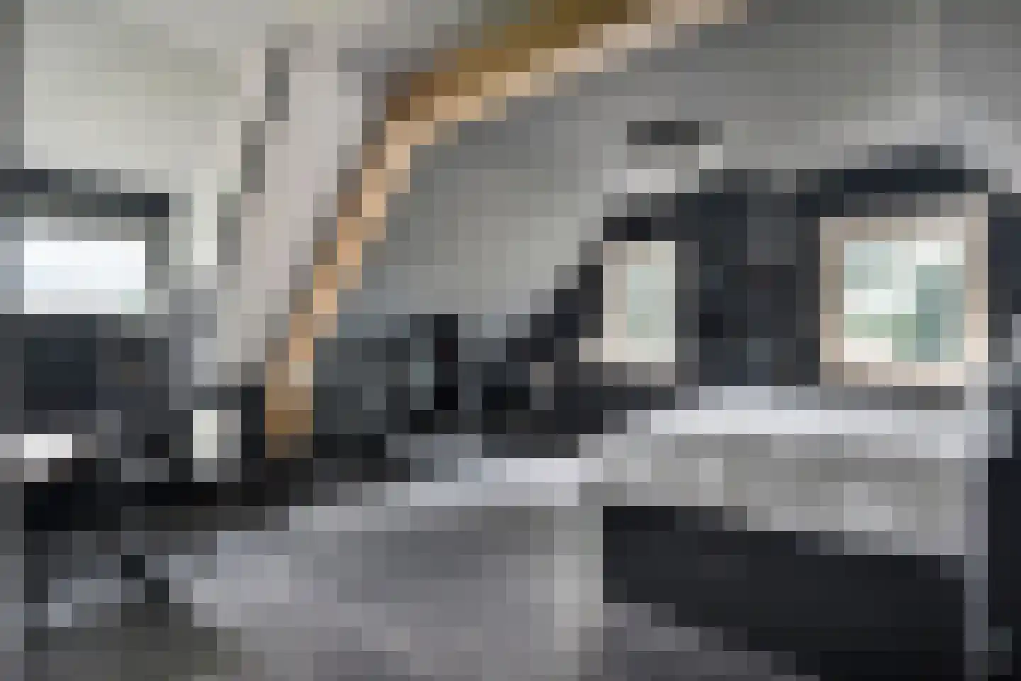 Schuineslootweg 70 Schuinesloot thumbnail 36