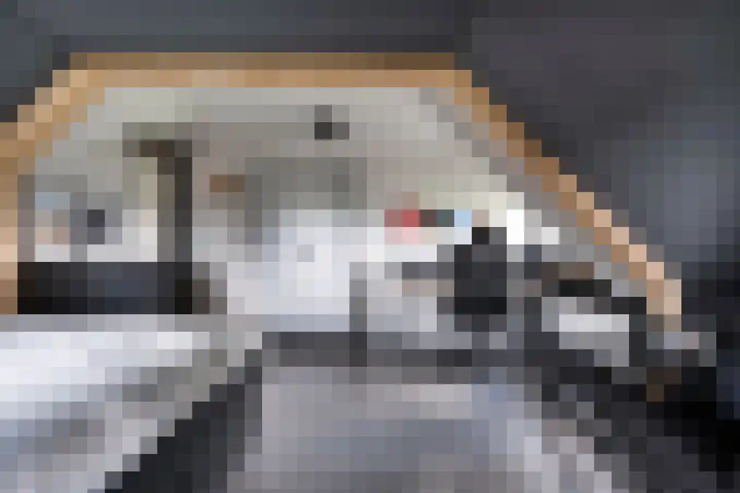 Schuineslootweg 70 Schuinesloot thumbnail 37