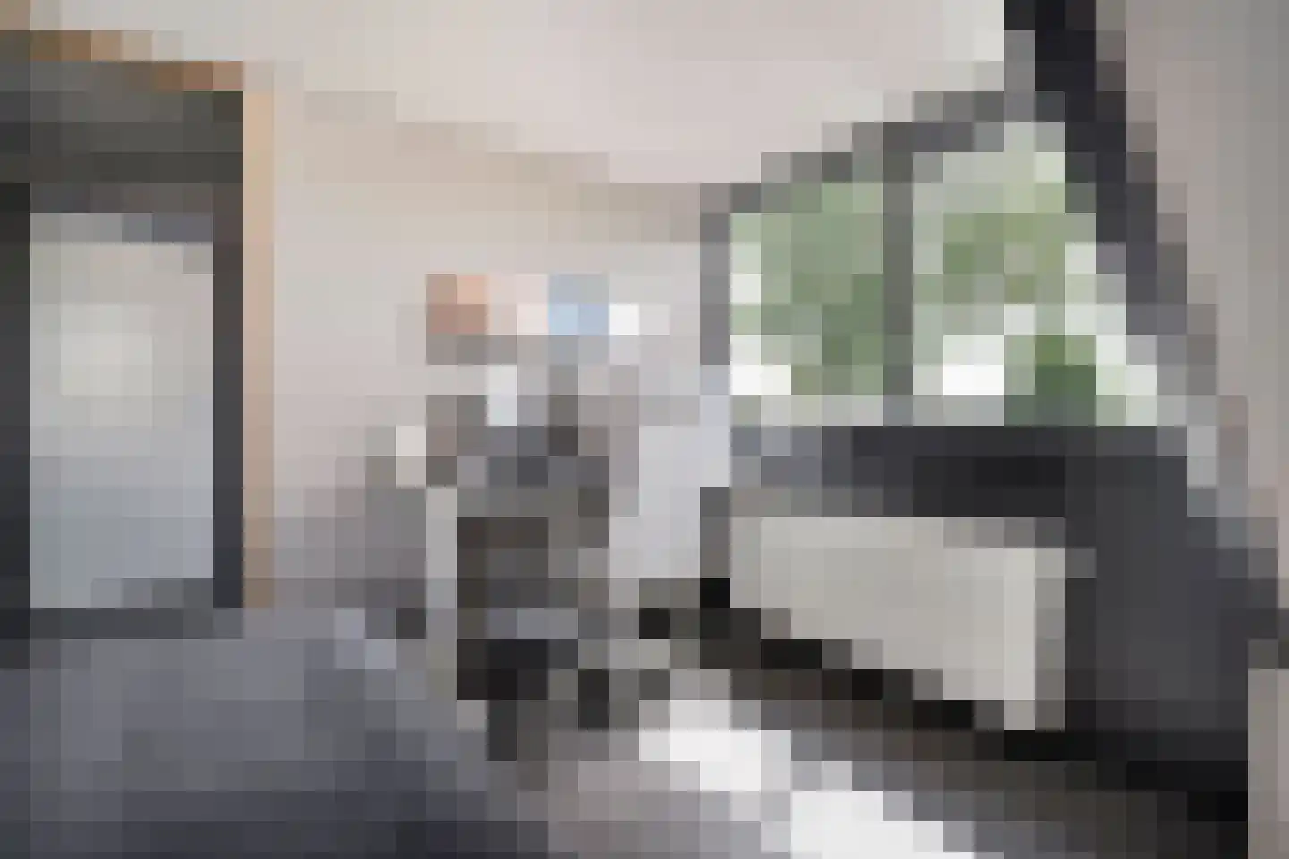 Schuineslootweg 70 Schuinesloot thumbnail 41