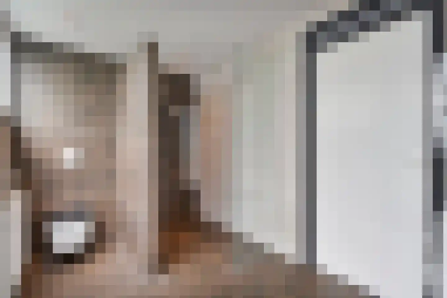 Schuineslootweg 70 Schuinesloot thumbnail 43