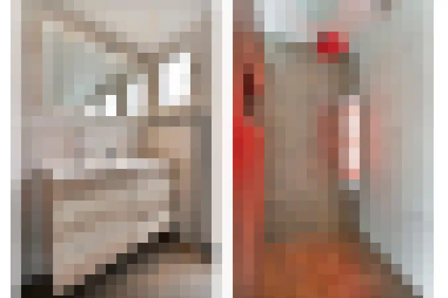 Schuineslootweg 70 Schuinesloot thumbnail 45