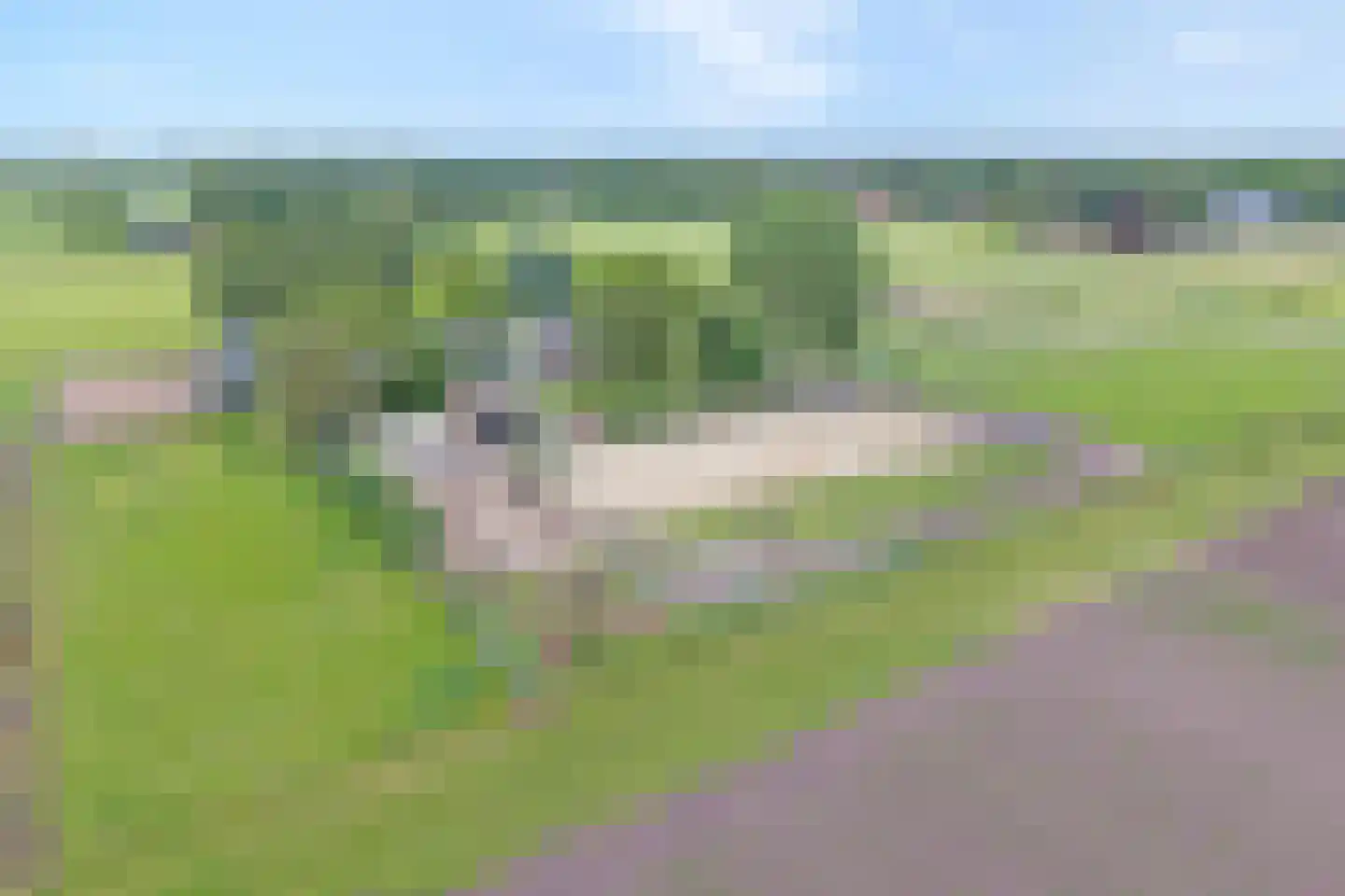 Schuineslootweg 70 Schuinesloot thumbnail 5