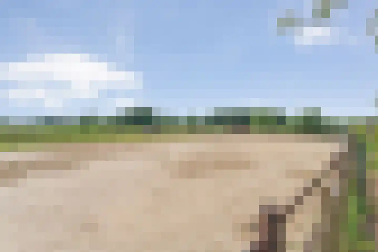 Schuineslootweg 70 Schuinesloot thumbnail 50
