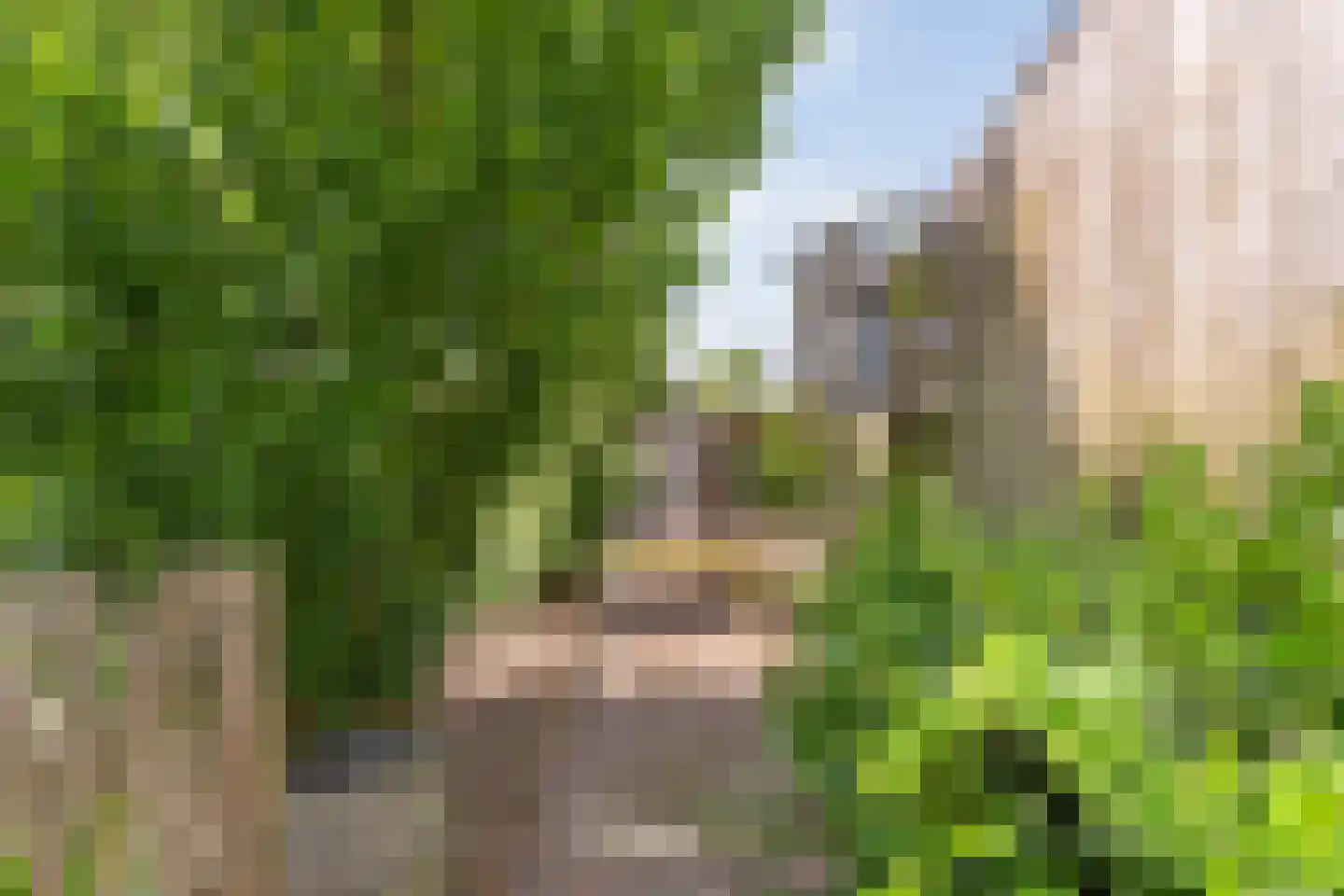 Schuineslootweg 70 Schuinesloot thumbnail 57