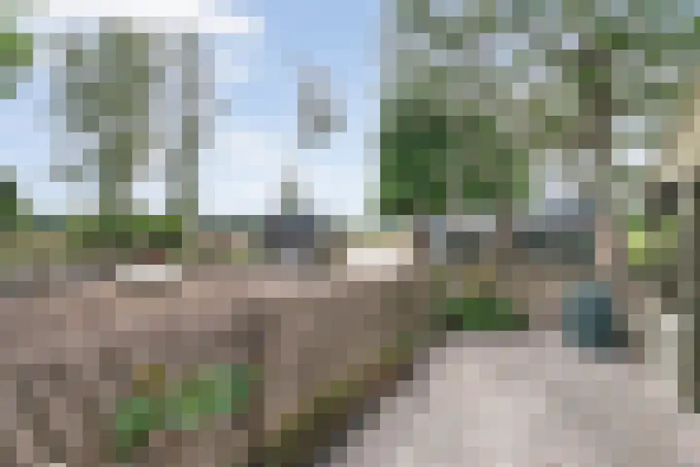 Schuineslootweg 70 Schuinesloot thumbnail 59