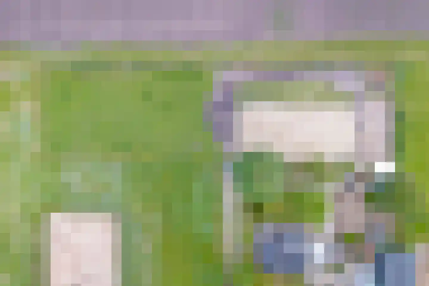 Schuineslootweg 70 Schuinesloot thumbnail 6