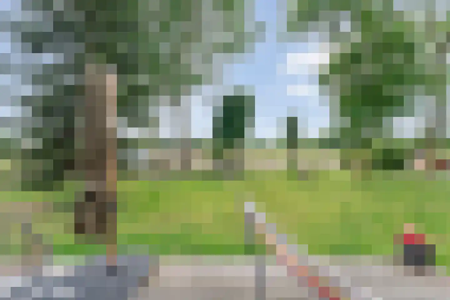 Schuineslootweg 70 Schuinesloot thumbnail 65