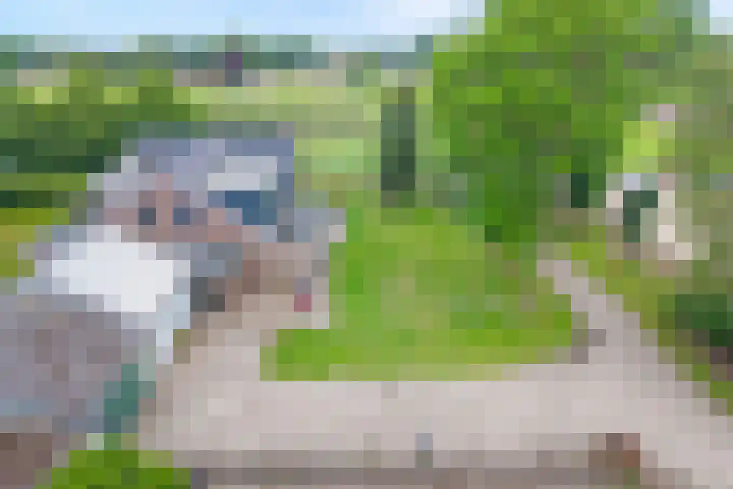 Schuineslootweg 70 Schuinesloot thumbnail 9