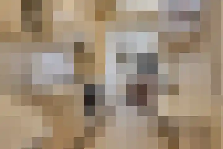 Schuinpad 12 Oldeberkoop thumbnail 8