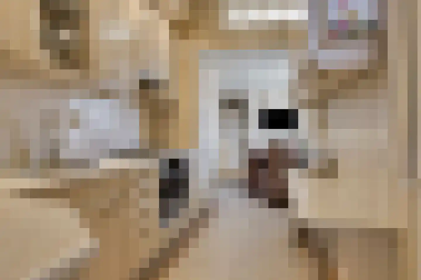 Schuinpad 12 Oldeberkoop thumbnail 8