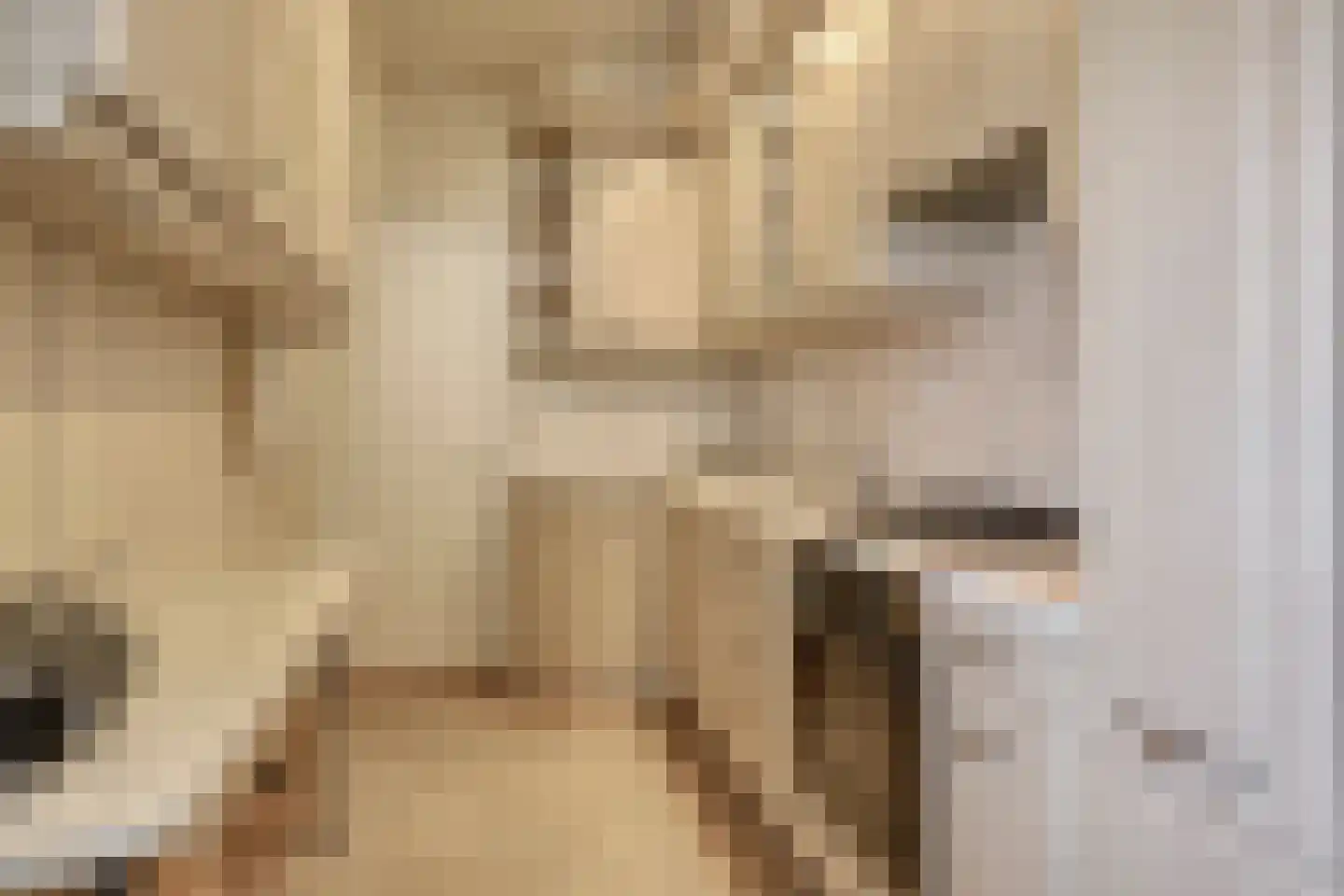 Schuinpad 12 Oldeberkoop thumbnail 9