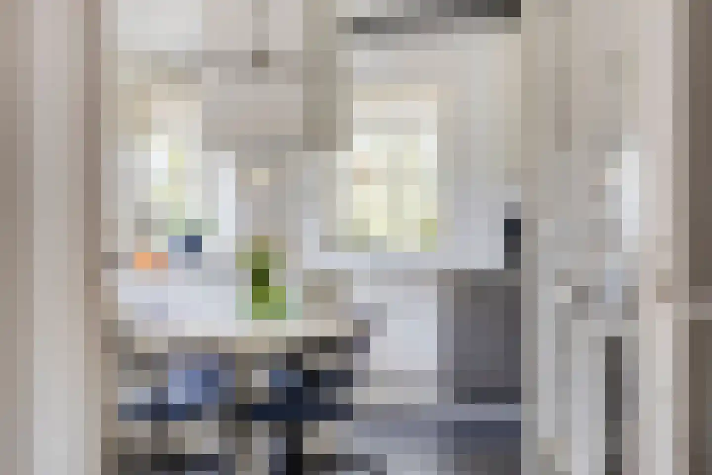 Schuinpad 40 Oldeberkoop thumbnail 12