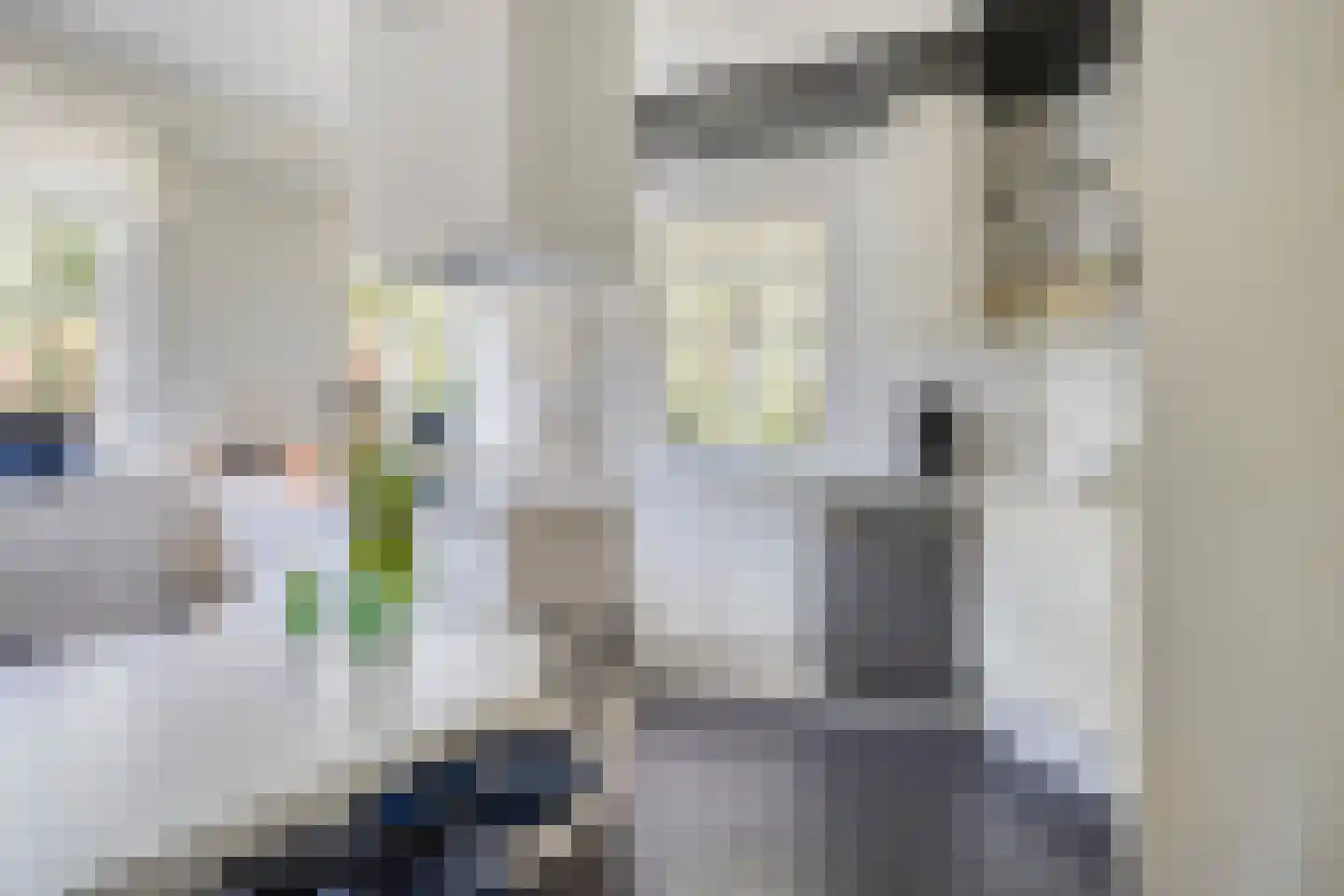 Schuinpad 40 Oldeberkoop thumbnail 13
