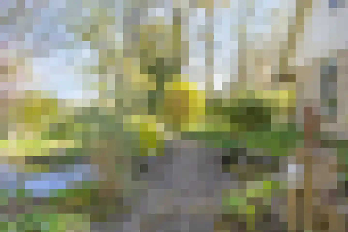 Schuinpad 40 Oldeberkoop thumbnail 35