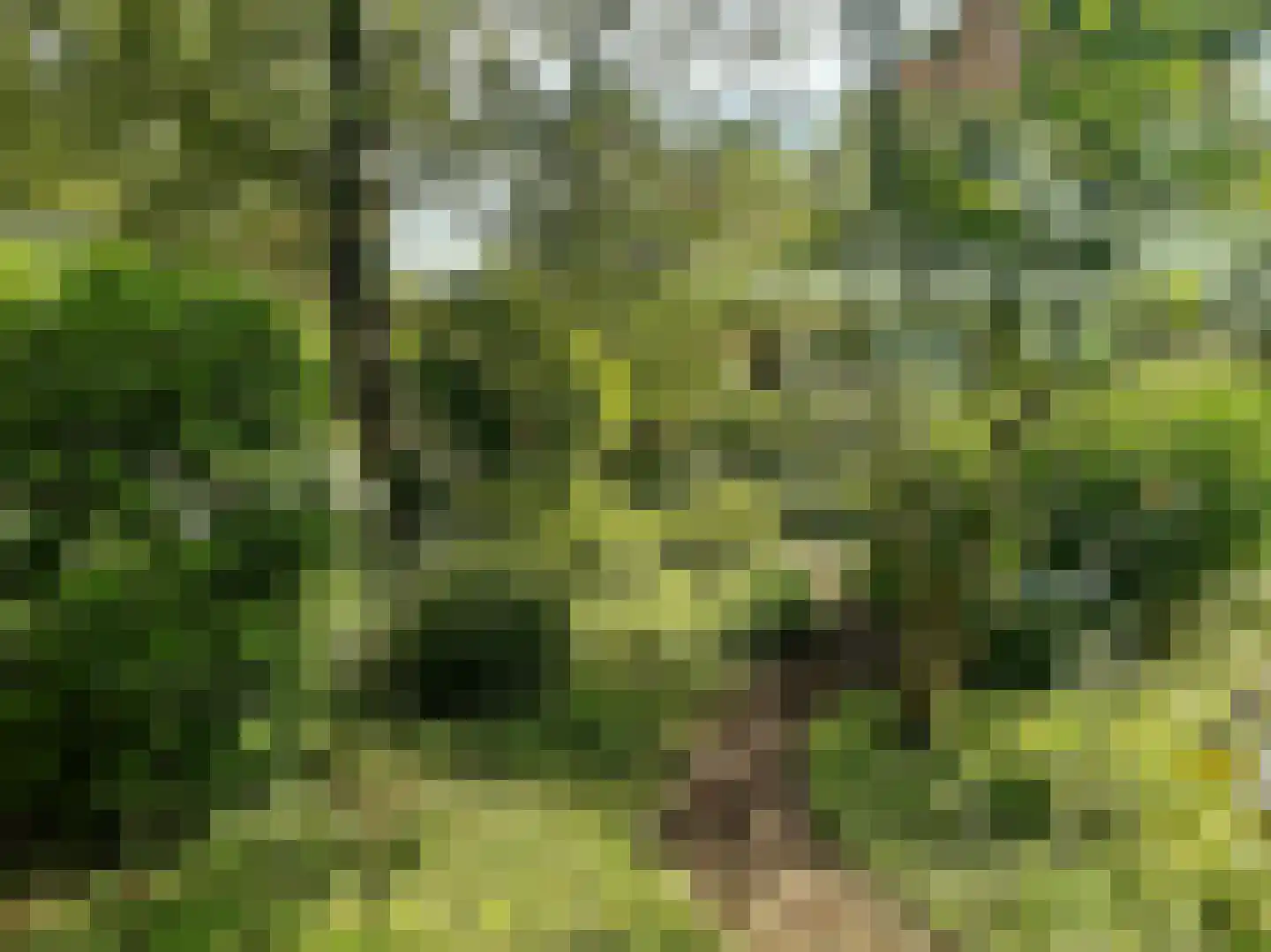 Schuinpad 40 Oldeberkoop thumbnail 36